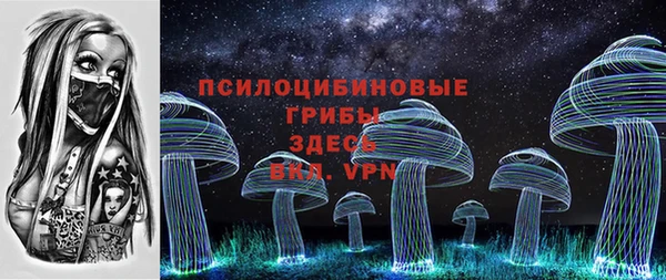 сатива Бугульма
