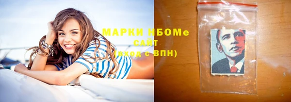 прущие грибы Бородино