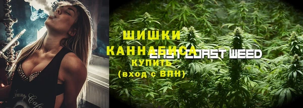 прущие грибы Бородино