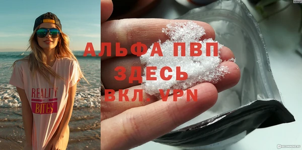 ECSTASY Богородск