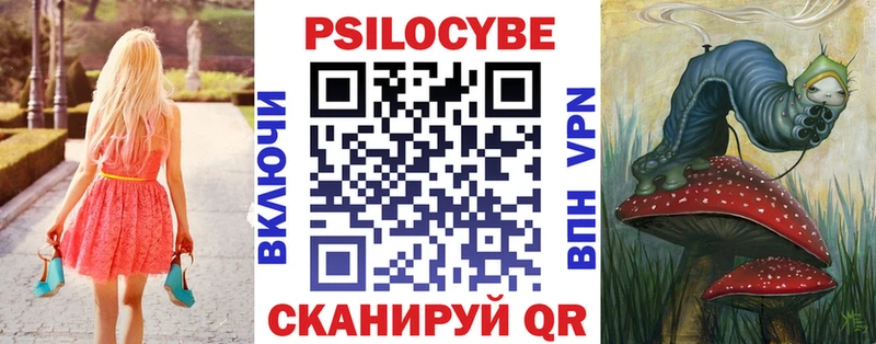 Галлюциногенные грибы Psilocybine cubensis Гусев