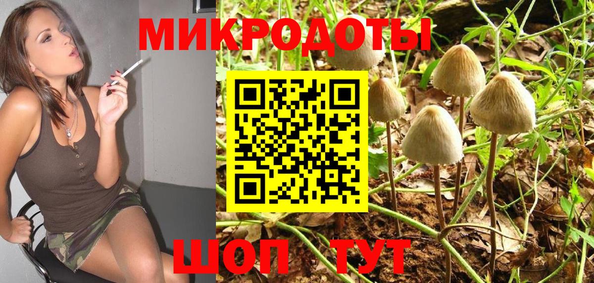 Псилоцибиновые грибы мицелий Гусев