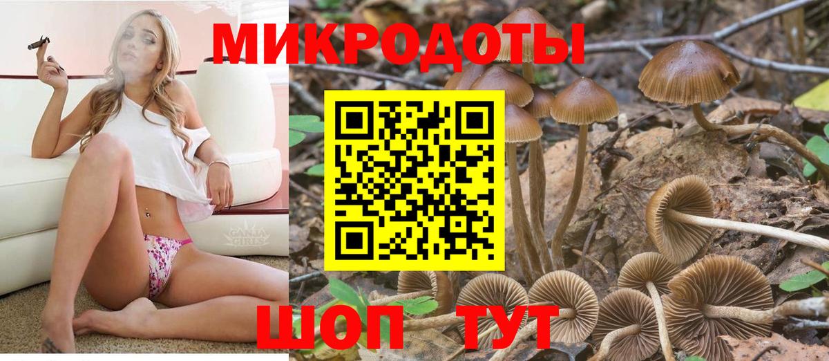 Гусев  Псилоцибиновые грибы GOLDEN TEACHER  Вход с VPN  Псилоцибиновые грибы ЛСД 